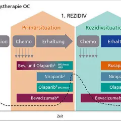 Schema zeigt Behandlung von Eierstockkrebs. Olaparib wird zur Heilung eingesetzt, sowohl in der Primärsituation als auch bei Rezidiven.