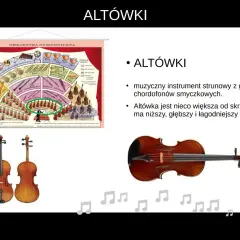 Na schemacie orkiestry symfonicznej zaznaczono altówki. Instrument ten jest większy od skrzypiec, co to jest orkiestra symfoniczna.