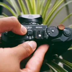 Hands adjust the settings on a black Bessa R2A camera, surrounded by lush green foliage.