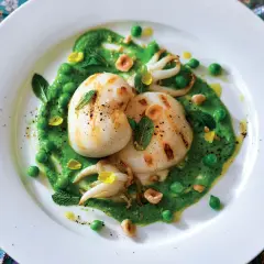 Deliziosi seppie alla griglia su un letto di crema di piselli, guarnite con piselli interi, nocciole tostate e menta fresca.