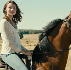 Filmy o koniach CDA – najlepsze tytuły, które musisz zobaczyć