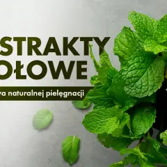 Jak zrobić ekstrakt roślinny - proste metody i najczęstsze błędy