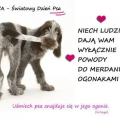 Życzenia na Dzień Psa: Wzruszające, śmieszne, krótkie gotowe teksty
