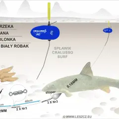 Bolonka: Te ryby pokochasz łowić! Poradnik skutecznego wędkarza.