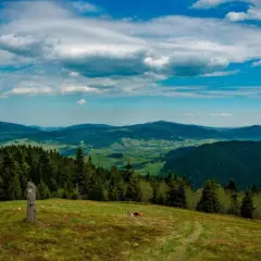 Turbacz – najwyższy szczyt Gorców i jego niezwykłe tajemnice
