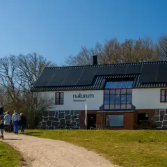 Besökare vandrar mot Naturum Stenshuvud, en byggnad med solpaneler på taket, omgiven av träd och gräs.