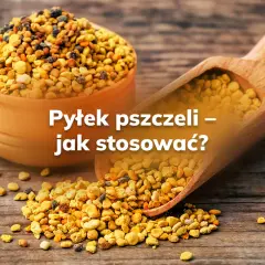 Pyłek pszczeli – jak stosować? Złote granulki w drewnianej miseczce i na łopatce, gotowe do spożycia.
