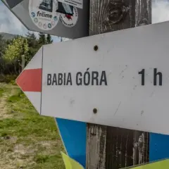 Gdzie leży Babia Góra? Przewodnik po szlakach i tajemnicach Diablaka