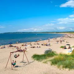 En solig strand i Halland fylld med badande och solande människor. Barn leker på en gunga nära sanddynerna.