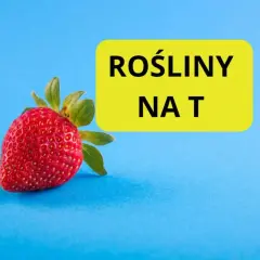 Czerwona truskawka obok żółtego prostokąta z napisem "ROŚLINY NA T".