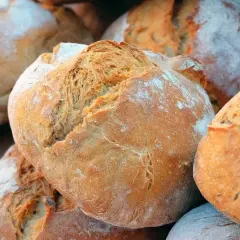 Gros pains artisanaux, dorés et farinés, parfaits pour ceux qui préfèrent le pain le moins sucré.