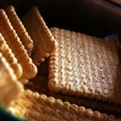 Czy pies może jeść herbatniki? Sprawdź, jakie są zagrożenia zdrowotne