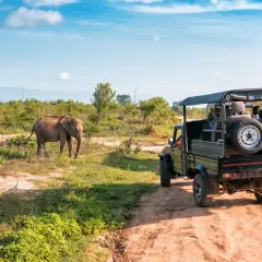 Safari en Tanzanie : un éléphant observe un véhicule tout-terrain. Idéal pour savoir quand partir en Tanzanie pour une expérience inoubliable.