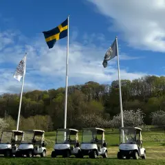 Golfbilar redo för spel vid äppelgården i Båstad. Svenska flaggan vajar stolt i bakgrunden.