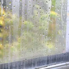 Dlaczego okna są mokre? Poznaj przyczyny i skutki kondensacji
