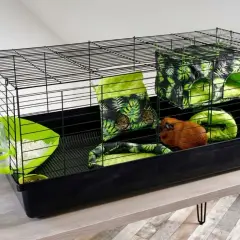 Domek dla świnki morskiej DIY: Zbuduj bezpieczną kryjówkę!