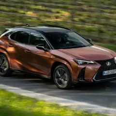 Miedziany Lexus UX pędzi po krętej drodze. Sprawdź, jaka jest jego lexus ux cena i możliwości.