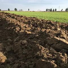 Orne, świeżo zaorane pole z widocznymi resztkami pożniwnymi i zielonymi oziminami w tle. Traktor w oddali.