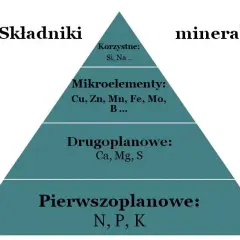 Minerały w których produkuje się nawozy fosforowe – kluczowe informacje i zagrożenia
