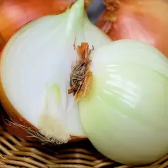 Cebula przekrojona na pół, ukazująca warstwy. To zagadka o cebuli, która sprawi, że poczujesz się jak detektyw smaków.