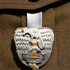 Orzeł wojskowy z koroną i mieczem, symbol najniższego stopnia oficerskiego, na brązowym mundurze.