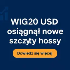WIG20 USD osiągnął nowe szczyty hossy. Dowiedz się więcej o tym, co to znaczy dla inwestorów.