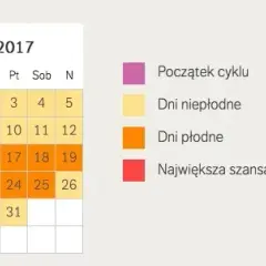 Kiedy dni płodne po porodzie? Ważne informacje dla młodych mam