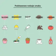 Podstawowe smaki: słodki (ciastko), kwaśny (sałatka), słony (frytki), gorzki (kawa), umami (pomidor, ketchup).