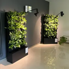 Dwie pionowe, zielone ściany w domu, oświetlone lampami, tworzą naturalny akcent w nowoczesnym wnętrzu.