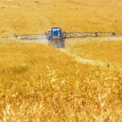 Trattore spruzza pesticidi su un campo dorato, contribuendo all'inquinamento agricolo.