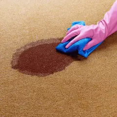 Vanish Gold Carpet Care: Instrukcja krok po kroku dla idealnego dywanu