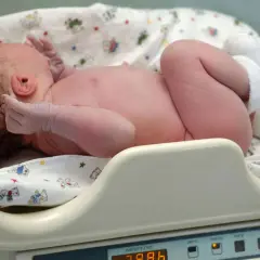 Neugeborenes Baby auf einer Waage. Das Geburtsgewicht des Babys wird ermittelt.