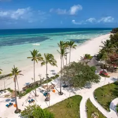 Rajska plaża z palmami i turkusową wodą. Idealne miejsce, by zapytać: kiedy najlepiej na Zanzibar?