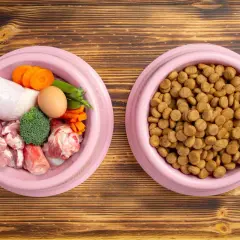 Dos tazones rosados sobre madera: uno con ingredientes para comida natural para perros (pollo, carne, huevo, zanahoria, brócoli) y otro con croquetas.