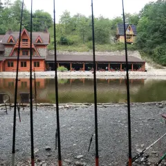 Gdzie na ryby koło Wrocławia? Odkryj najlepsze miejsca wędkarskie