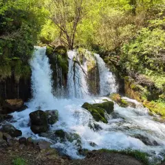 Persona de pie junto a una cascada en un acantilado rocoso rodeado de vegetación verde.