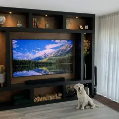 Ein Hund sitzt vor einer selbstgebauten TV-Wand mit vielen Fächern, die mit Deko, Büchern und Holz gefüllt sind.