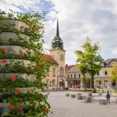 Najlepsze atrakcje w Skawinie, które musisz zobaczyć podczas wizyty