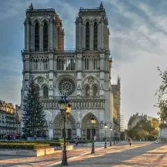 Notre Dame miasto w blasku słońca, z choinką i paryskim klimatem.