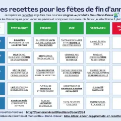 Tableau d'idées recettes pour les fêtes de fin d'année, proposant un menu diététique semaine par semaine, classé par type de plat et thématique.