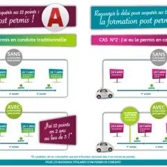 Schéma comparant les gains de points pour les jeunes conducteurs, avec ou sans stage perfectionnement conduite jeune conducteur.