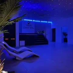 Wnętrze SPA z leżakami, palmą i niebieskim oświetleniem sufitowym.