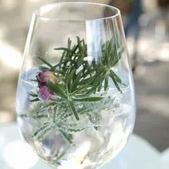 Erfrischender Gin Tonic mit Rosmarin und einer getrockneten Rose. Perfekt für den Tag des Gin Tonic.