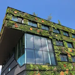 Edificio moderno ricoperto di vegetazione lussureggiante, un esempio di architettura con materiali ecosostenibili.