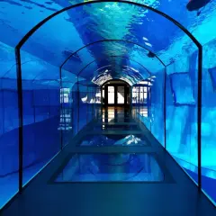 Podwodny tunel w najgłębszym basenie w Polsce. Błękitna woda i światło tworzą niesamowity efekt.