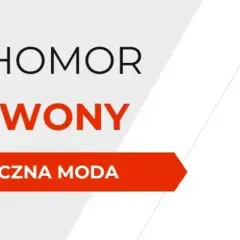 Rodzaje grzybów halucynogennych: Psylocybina vs Muchomor, prawo