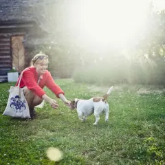 Frau übt mit ihrem Hund Hunde Kommandos im Garten. Sonnenschein und ein gemütliches Haus im Hintergrund.