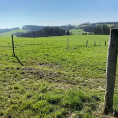 Grüne Hügel und ein sonniger Himmel laden zum **Naafbachtal wandern** ein. Ein Holzzaun markiert den Weg.