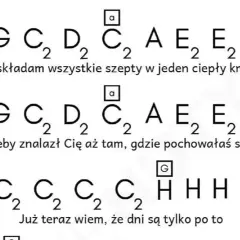 Akordy do Zawsze tam gdzie ty Lady Pank - Naucz się grać łatwo