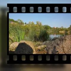 Obraz na kliszy fotograficznej: spokojny widok na jezioro z trzcinami, kamieniami i domami w tle.